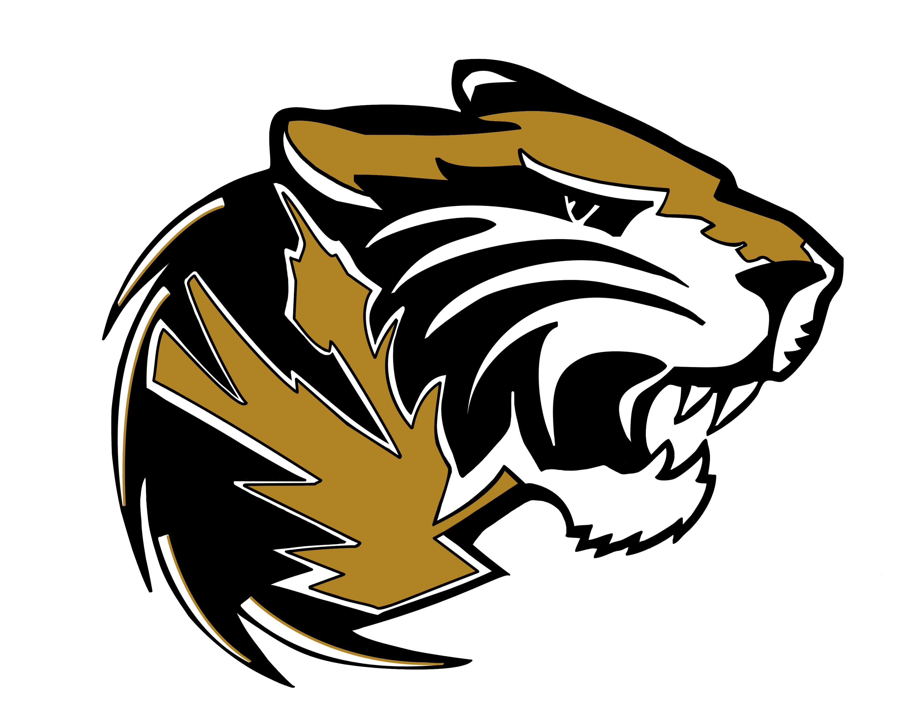 Sapphire Community Portal